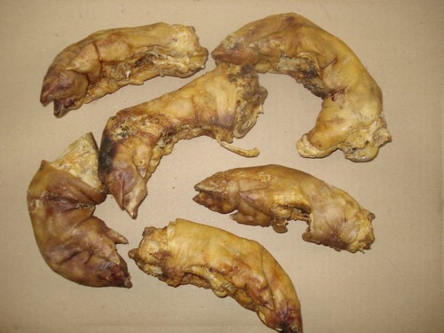 Pigs trotters x20 delivered - pigs,